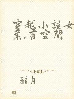 穿越小说女主姓叶,有空间