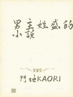 男主姓盛的现代小说封面