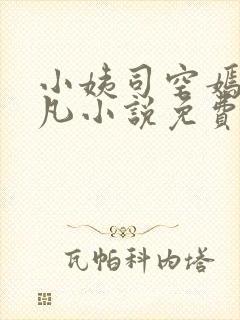 小姨司空嫣然叶凡小说免费阅读全文