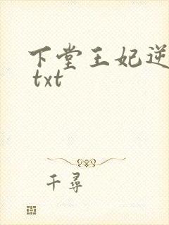 下堂王妃逆袭记 txt