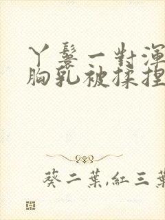 丫鬟一对浑圆的胸乳被揉捏小说