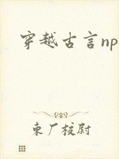 穿越古言np