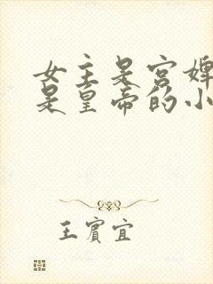 女主是宫婢男主是皇帝的小说