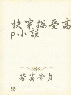 快穿总受高hnp小说