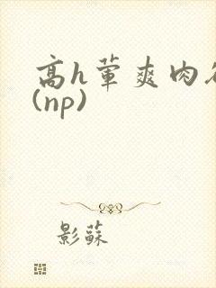 高h荤爽肉欲文(np)封面