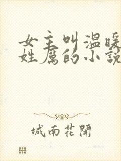 女主叫温暖男主姓厉的小说封面