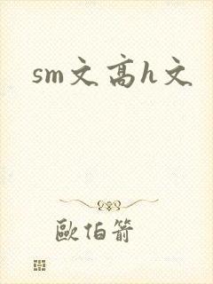sm文高h文