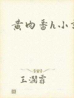 黄肉番h小说