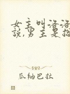 女主叫洛洛的小说,男主是总裁