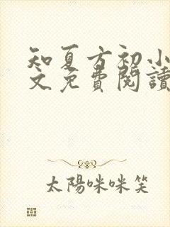 知夏方初小说全文免费阅读最新章节封面