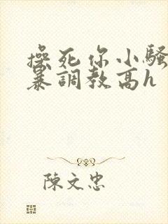 操死你小骚货粗暴调教高h