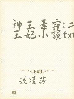 神王毒宠:二嫁王妃小说txt