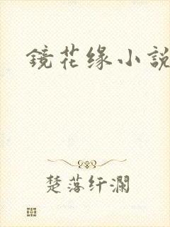 镜花缘小说