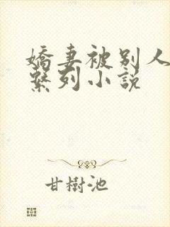 娇妻被别人蹂躏系列小说
