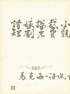 错嫁总裁小甜妻短剧免费观看封面