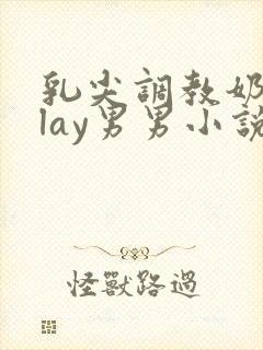 乳尖调教奶头play男男小说