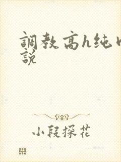 调教高h纯肉小说