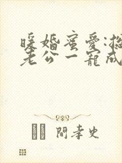 暖婚蜜爱:总裁老公一宠成瘾小说