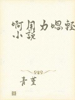 啊用力嗯轻一点小说封面