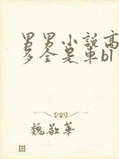 男男小说高h肉多全是车bl