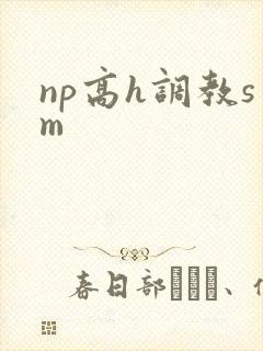 np高h调教sm