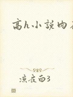 高h小说肉在线封面