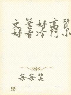 文笔好高质量超好看冷门小说