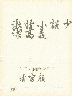 激情小说少妇白洁高义封面