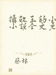 摄政王的小狼妃小说全文免费阅读