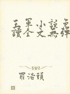 王军小说免费阅读全文无弹窗