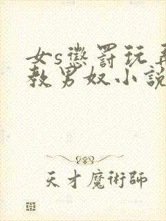 女s惩罚玩弄调教男奴小说封面