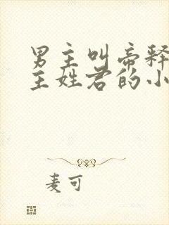 男主叫帝释天女主姓君的小说