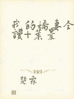 我的娇妻全文阅读+叶晨