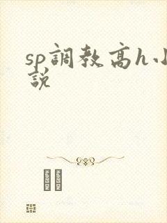 sp调教高h小说