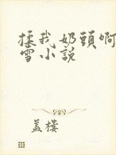 揉我奶头啊嗯小雪小说封面