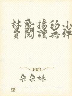 林飞扬的小说免费阅读无弹窗封面