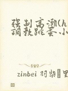 强制高潮(h)调教跳蛋小说小说封面