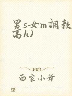 男s女m调教(高h)