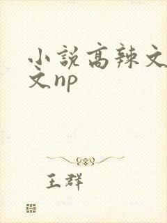 小说高辣文高h文np