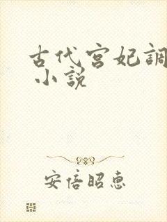 古代宫妃调教h 小说