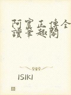 阿宾正传全文阅读笔趣阁封面