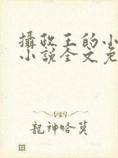 摄政王的小闲妻小说全文免费阅读