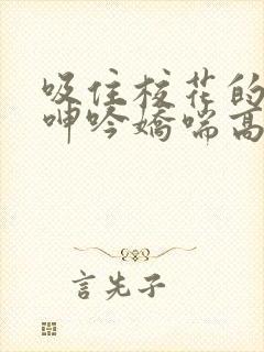 吸住校花的奶头呻吟娇喘高潮小说