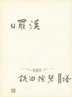 u罗汉封面