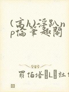 (高h)淫趴np伦笔趣阁