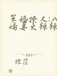 军婚撩人:八零娇妻火辣辣小说免费看封面