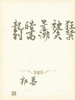 龙皓晨被狂c躁到高潮失禁封面