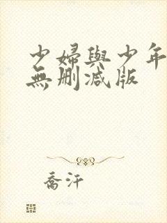 少妇与少年小说无删减版