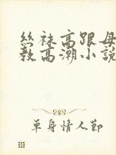 丝袜高跟母狗调教高潮小说