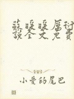 苏暖暖厉衍琛小说全文免费阅读封面